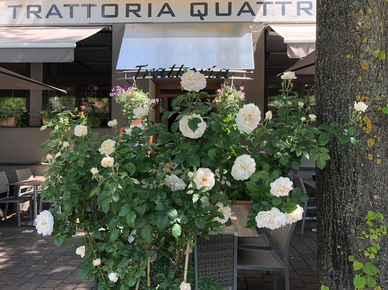 Der Eingang zur Trattoria 4 Mori